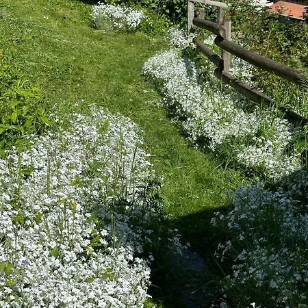 Huguette 18m2 Courchevel