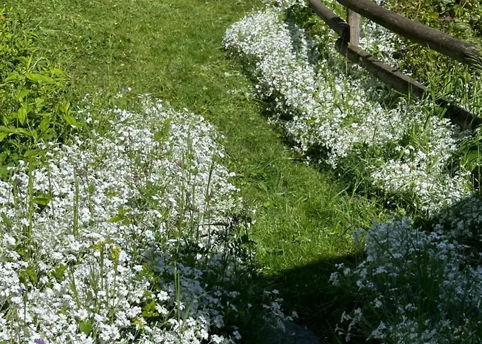 Huguette 18m2 Courchevel